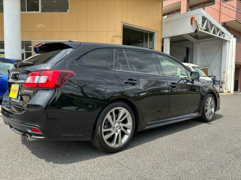 LEVORG