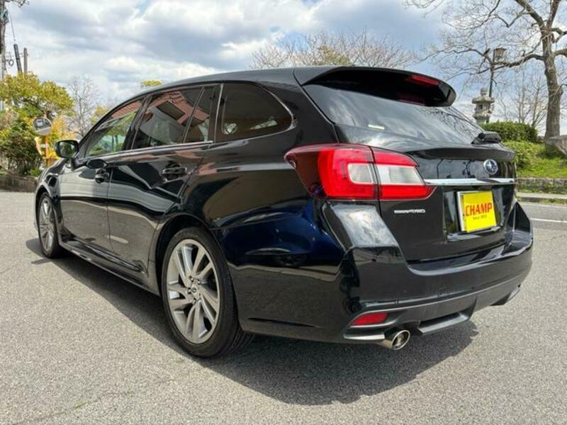 LEVORG