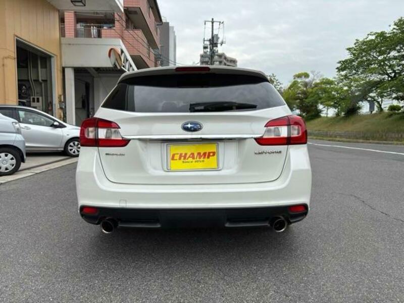 LEVORG