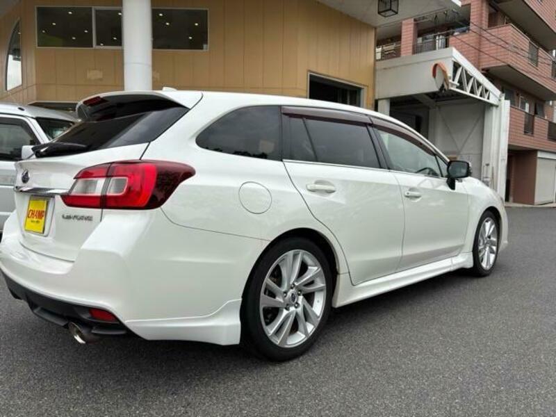 LEVORG