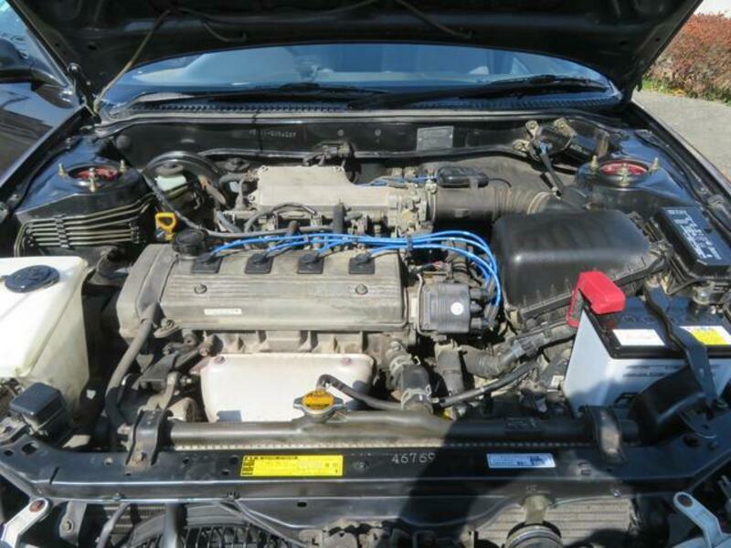 COROLLA LEVIN