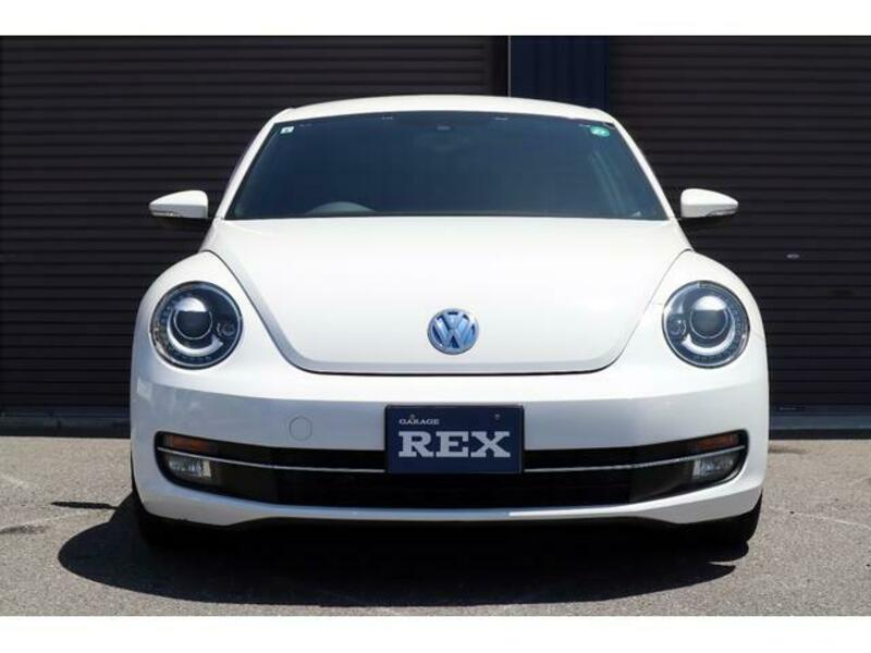 THE BEETLE