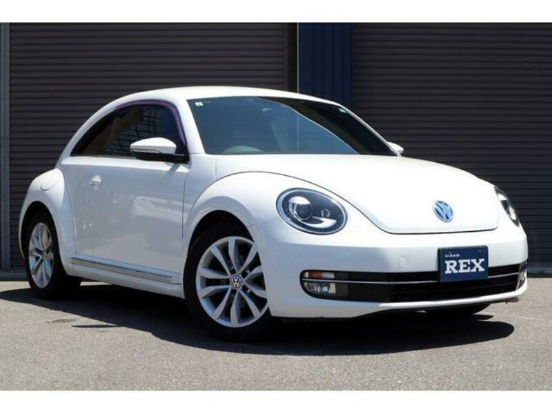 THE BEETLE