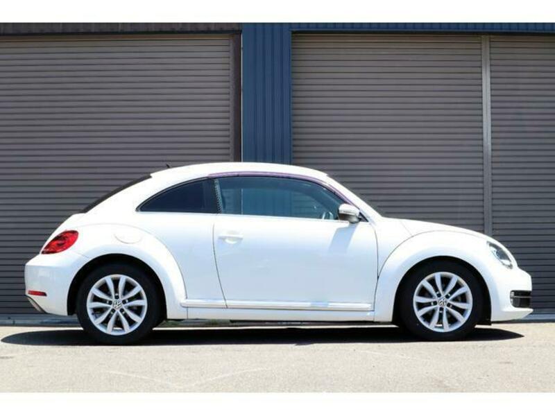 THE BEETLE