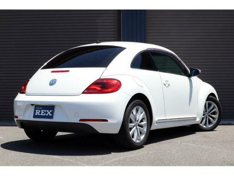 THE BEETLE