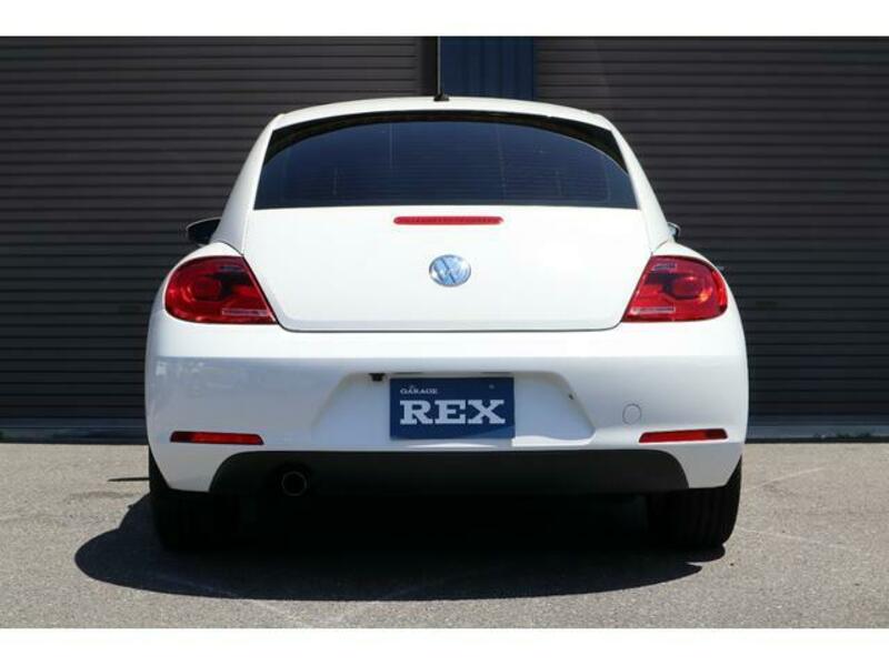 THE BEETLE