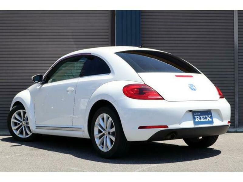 THE BEETLE