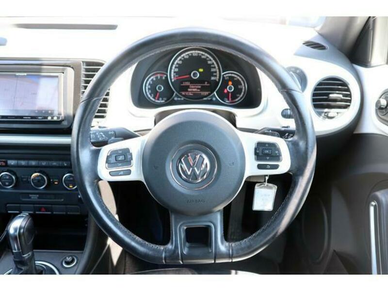 THE BEETLE