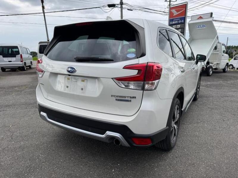 FORESTER