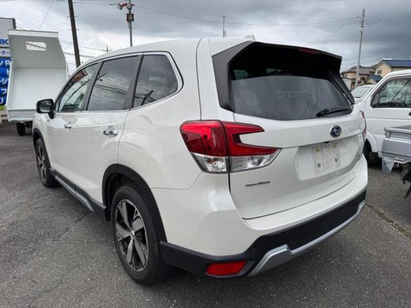 FORESTER
