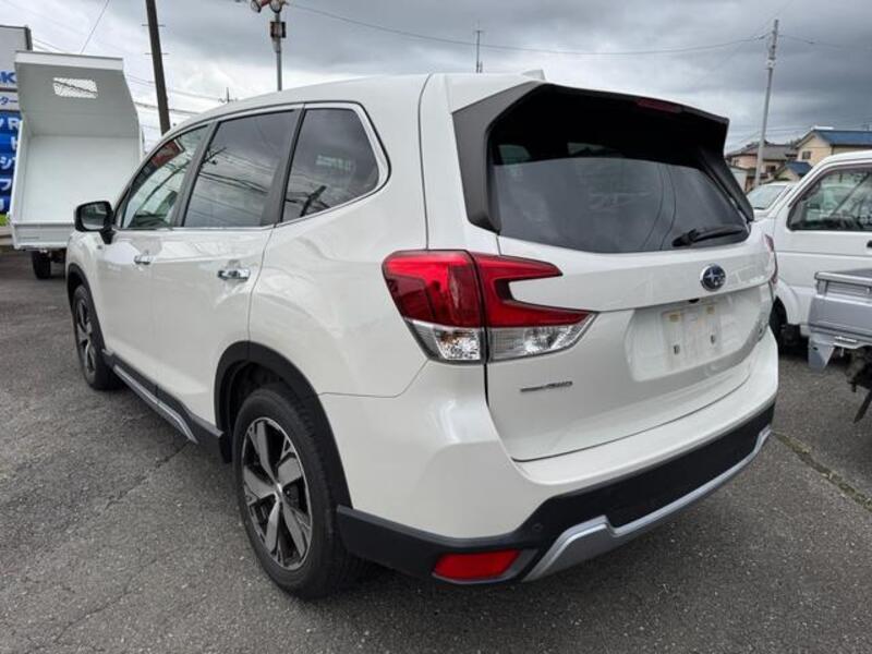 FORESTER
