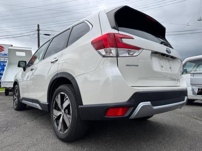 FORESTER