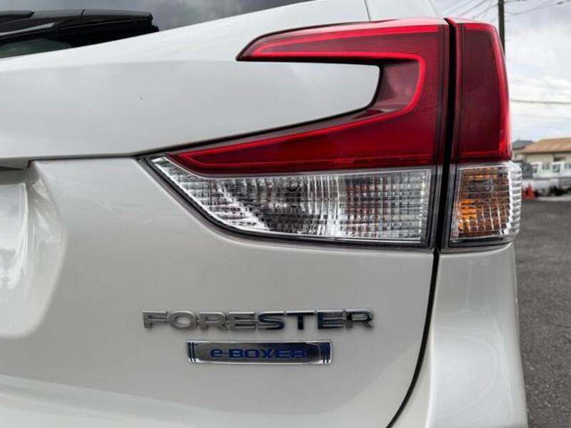 FORESTER