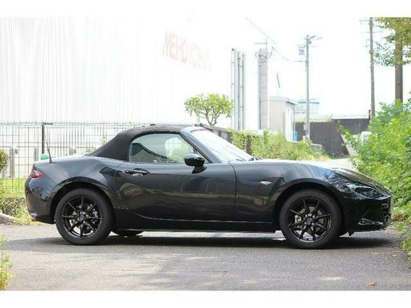 ROADSTER