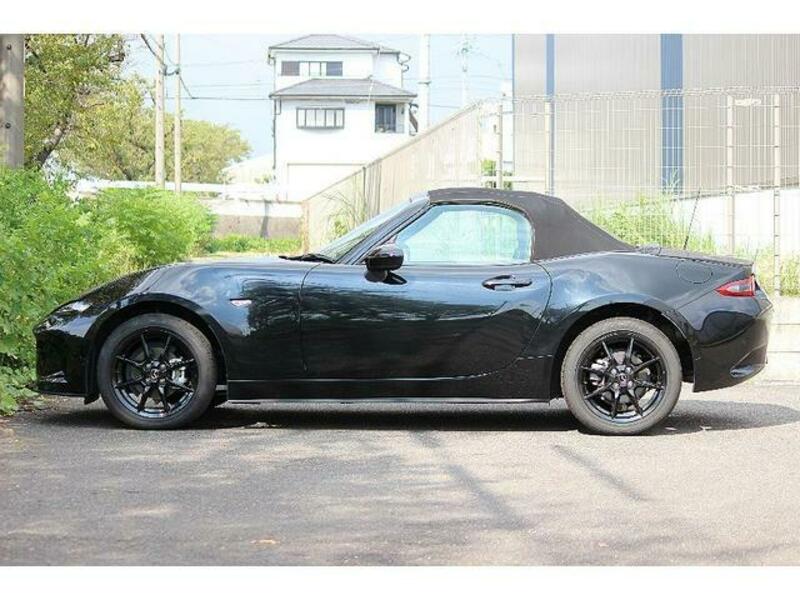 ROADSTER