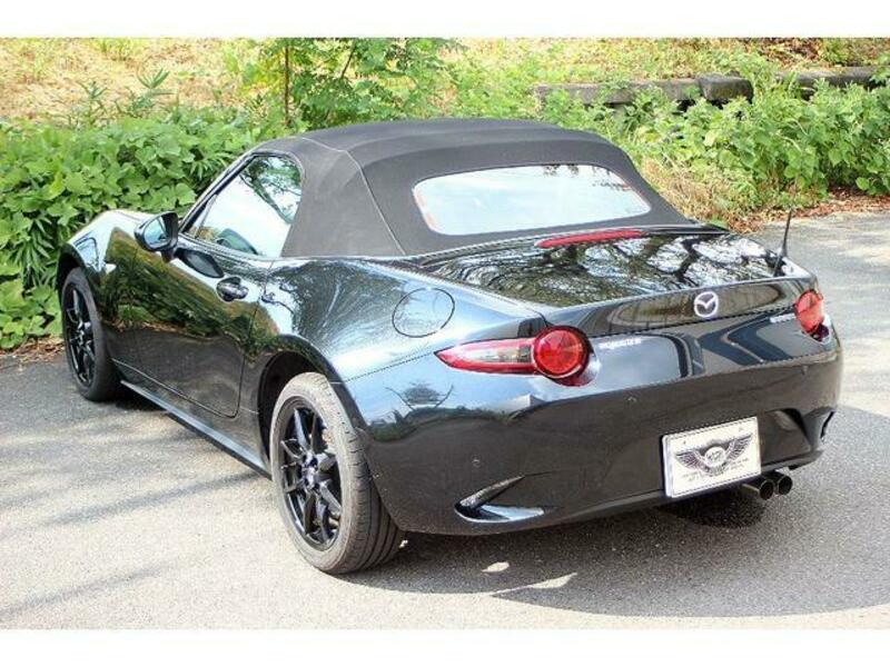 ROADSTER