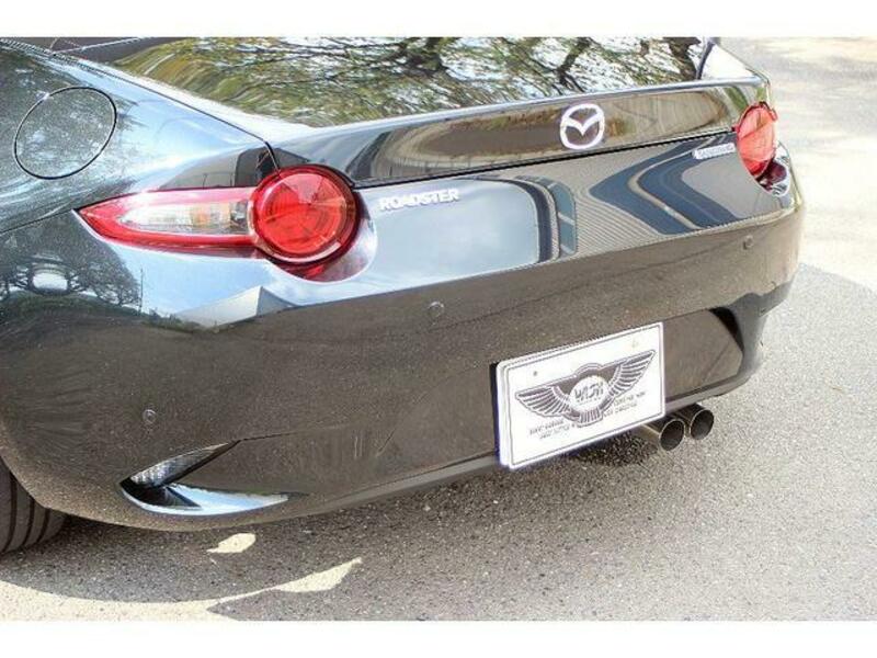 ROADSTER