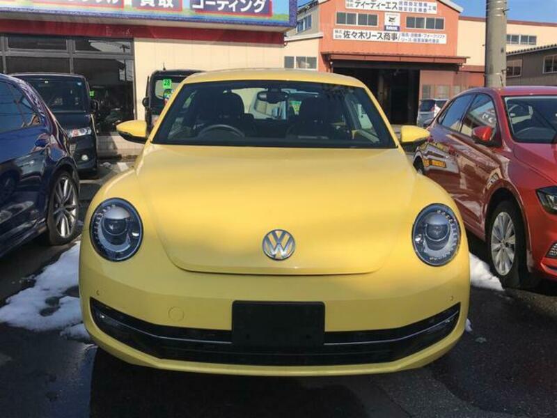 THE BEETLE