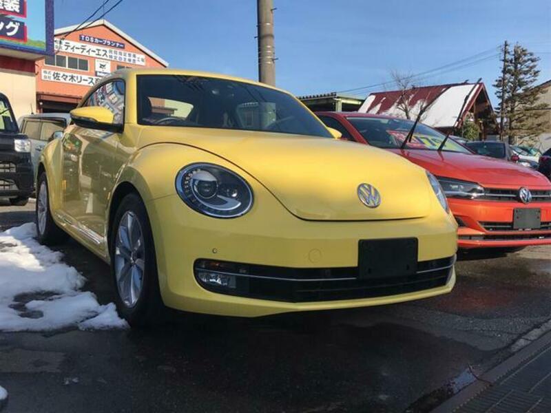 THE BEETLE