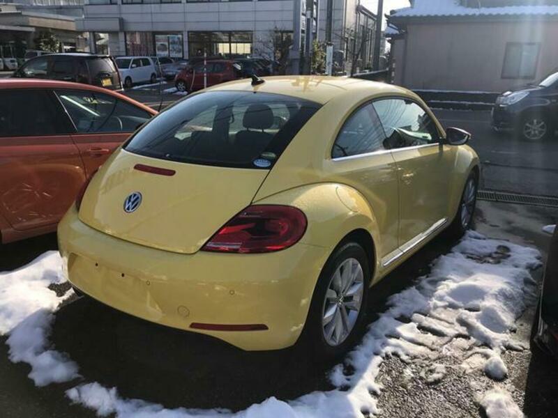 THE BEETLE