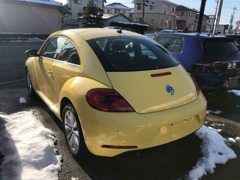 THE BEETLE