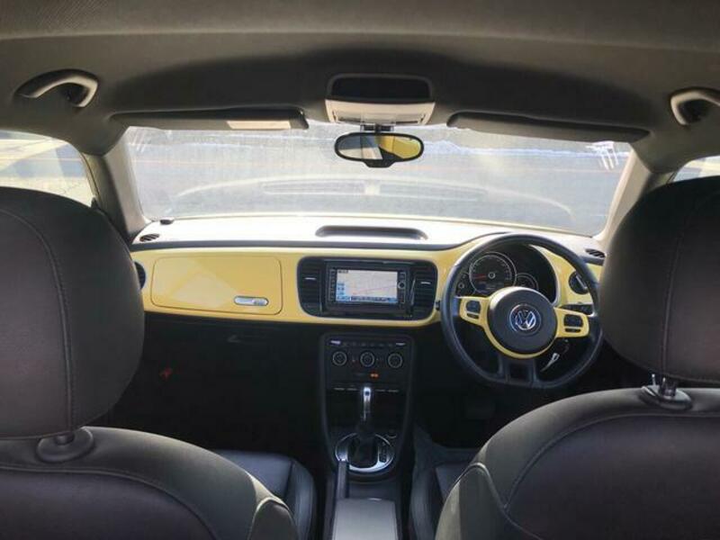 THE BEETLE