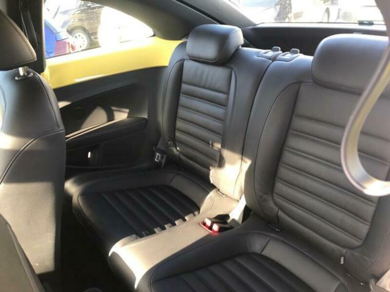 THE BEETLE