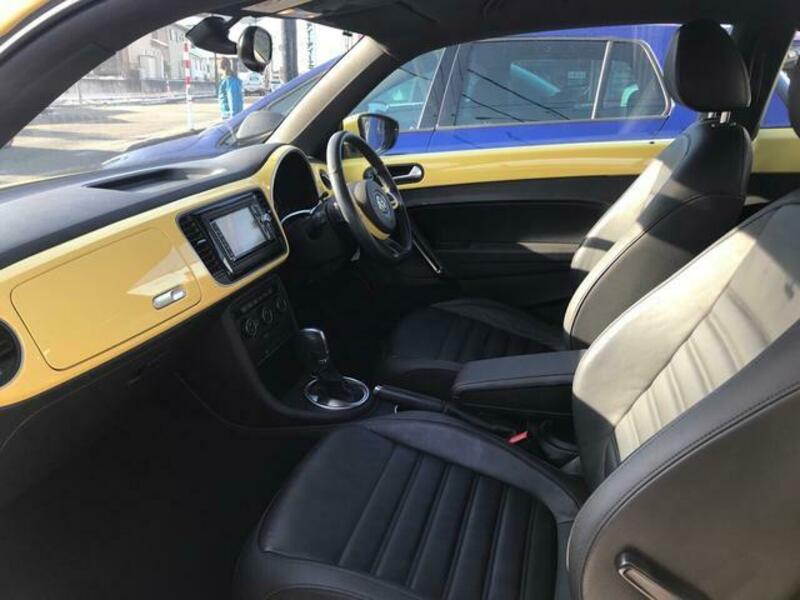 THE BEETLE