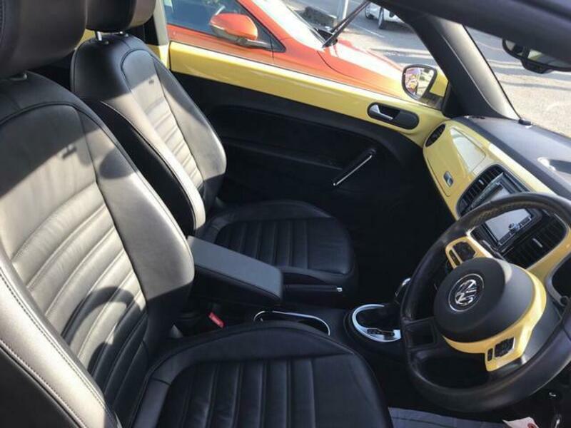 THE BEETLE