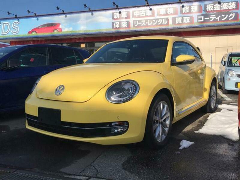 VOLKSWAGEN THE BEETLE