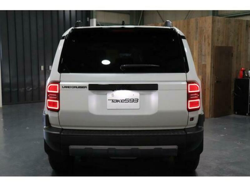 LAND CRUISER 250