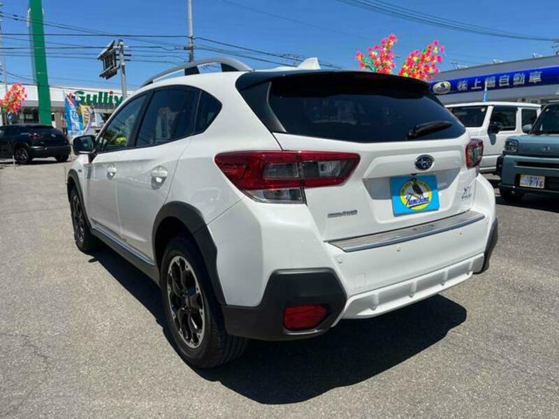 XV