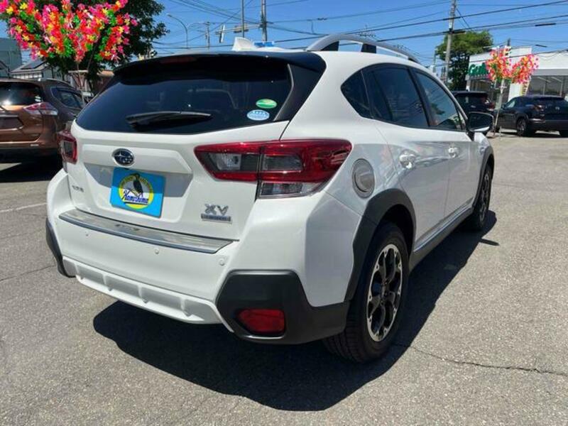 XV