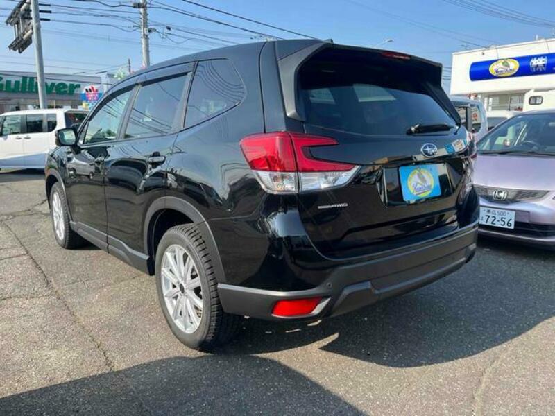 FORESTER