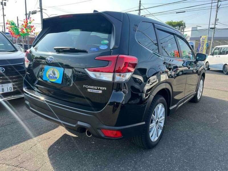 FORESTER