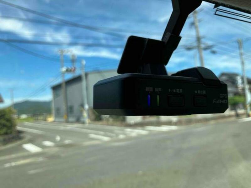 DAYZ ROOX