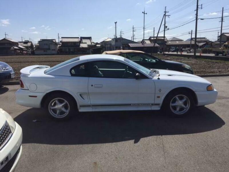 MUSTANG