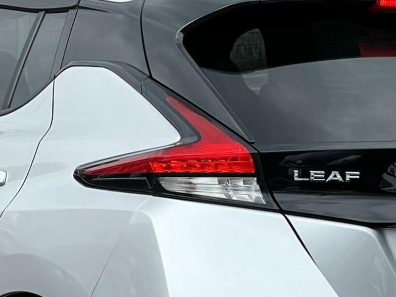 LEAF