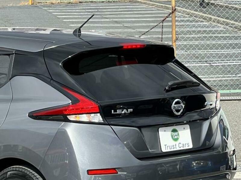 LEAF