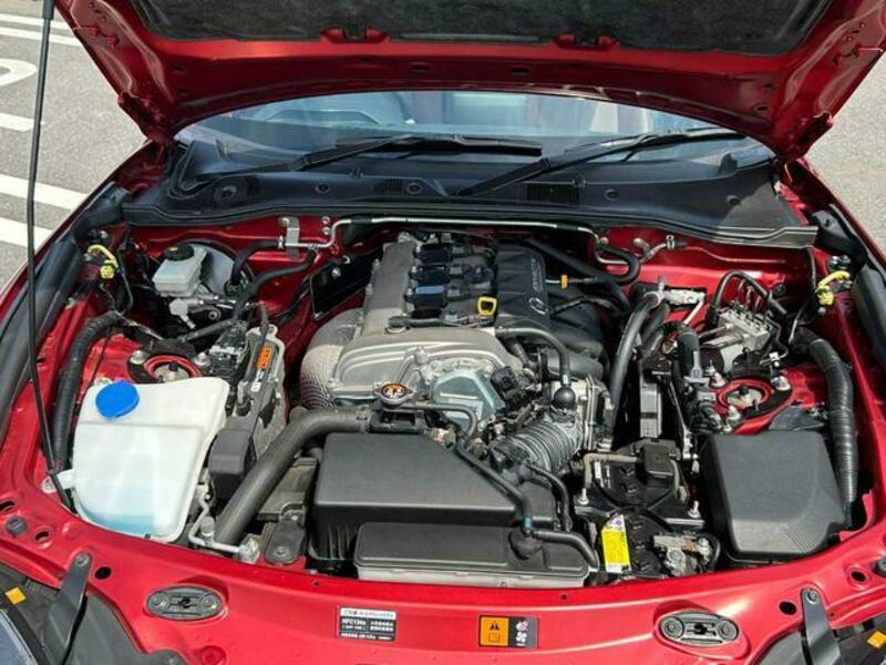 ROADSTER RF