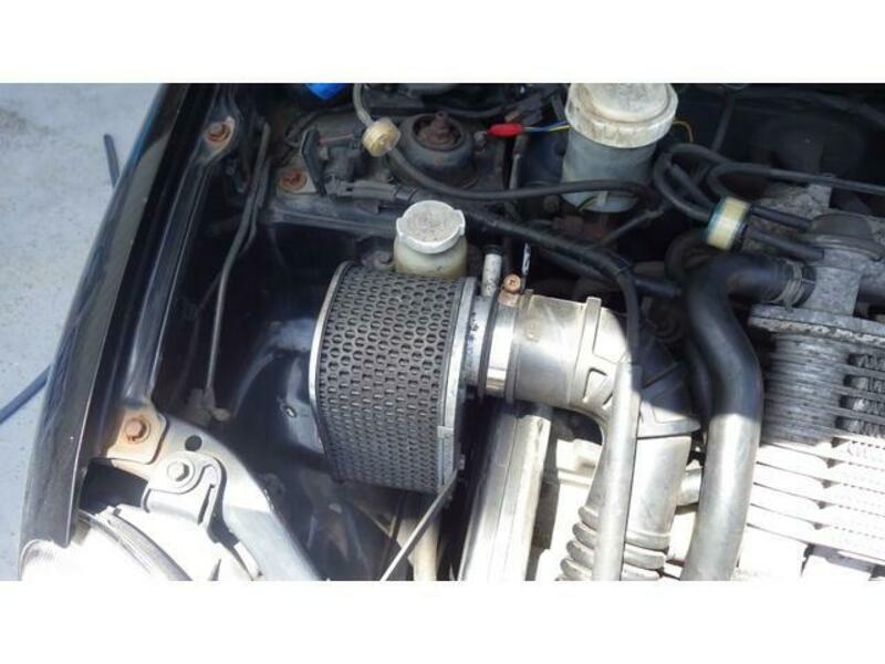 MINICA