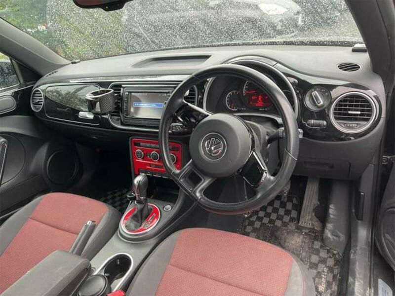 THE BEETLE