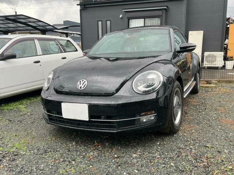 THE BEETLE