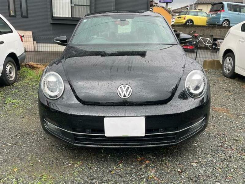 THE BEETLE