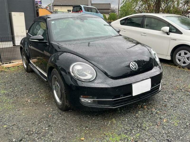 THE BEETLE