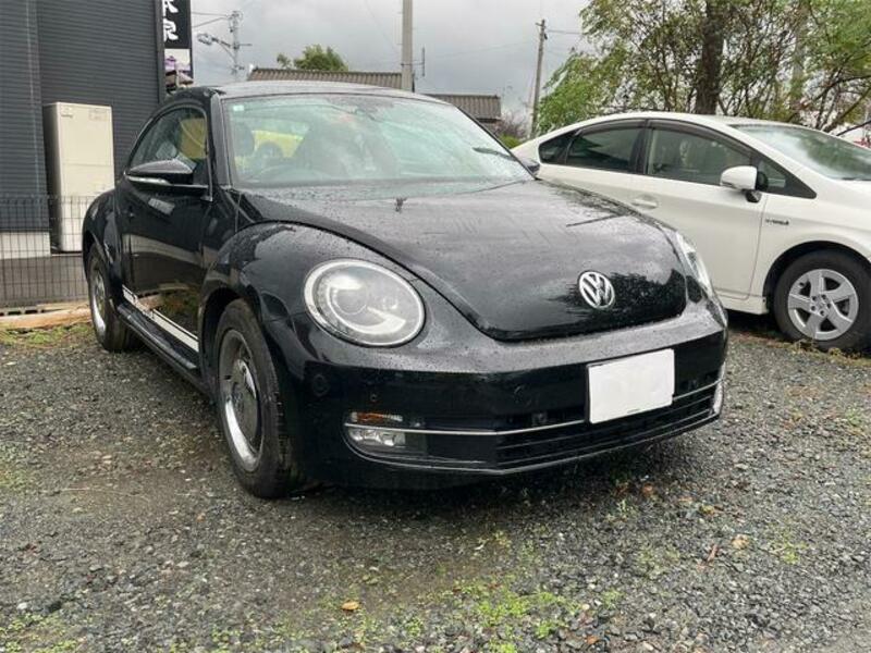 THE BEETLE