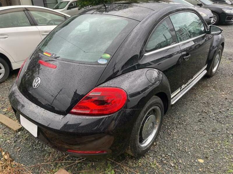 THE BEETLE