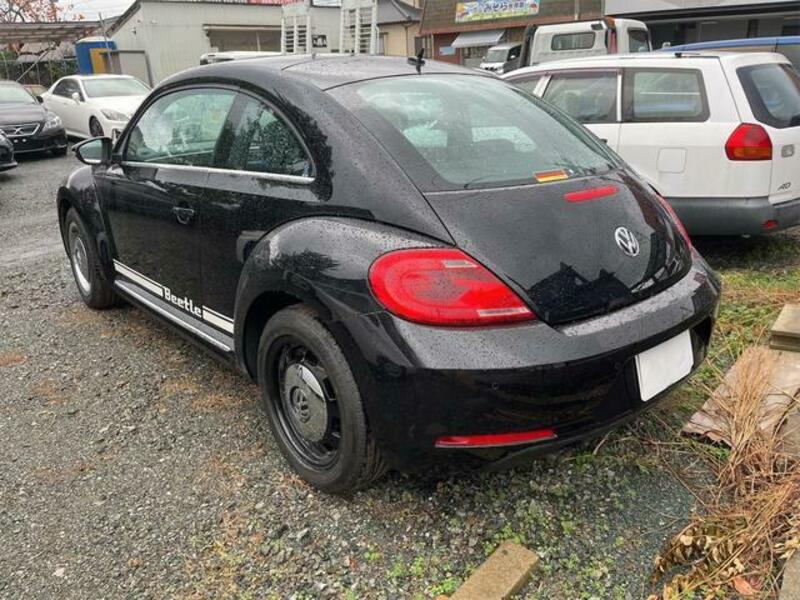 THE BEETLE