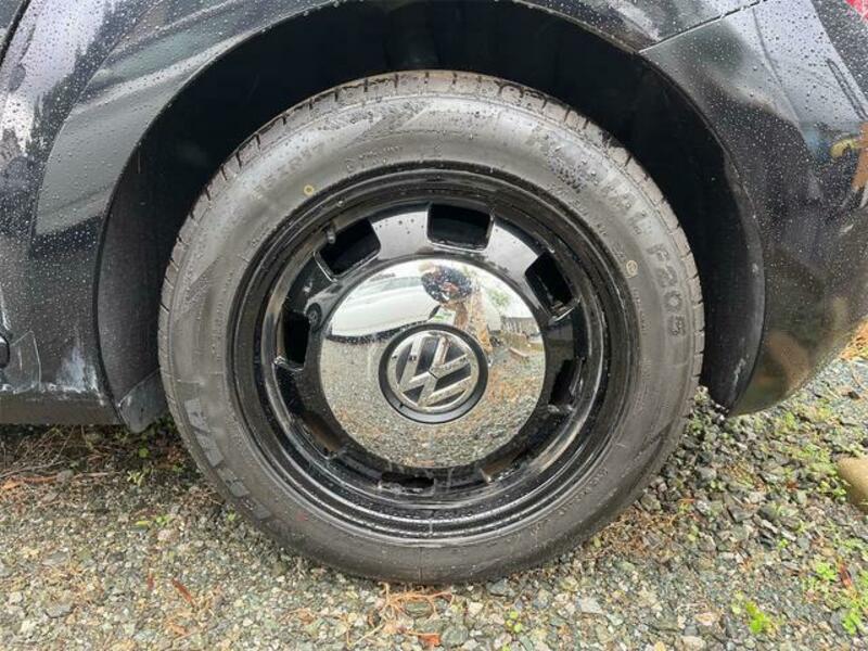 THE BEETLE
