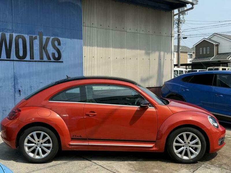 THE BEETLE